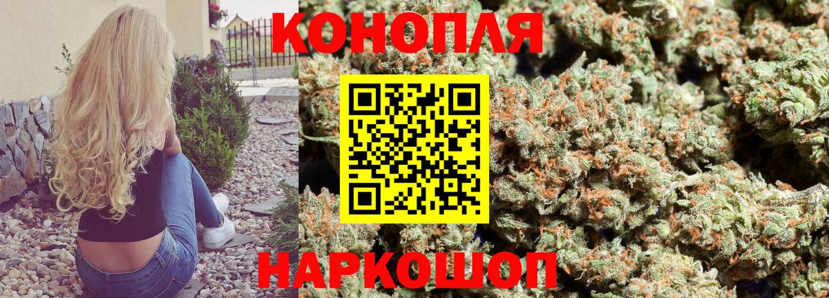 Бошки Шишки планчик  Бошки марихуана план  Вход с VPN  Кизляр  Марихуана Bruce Banner 